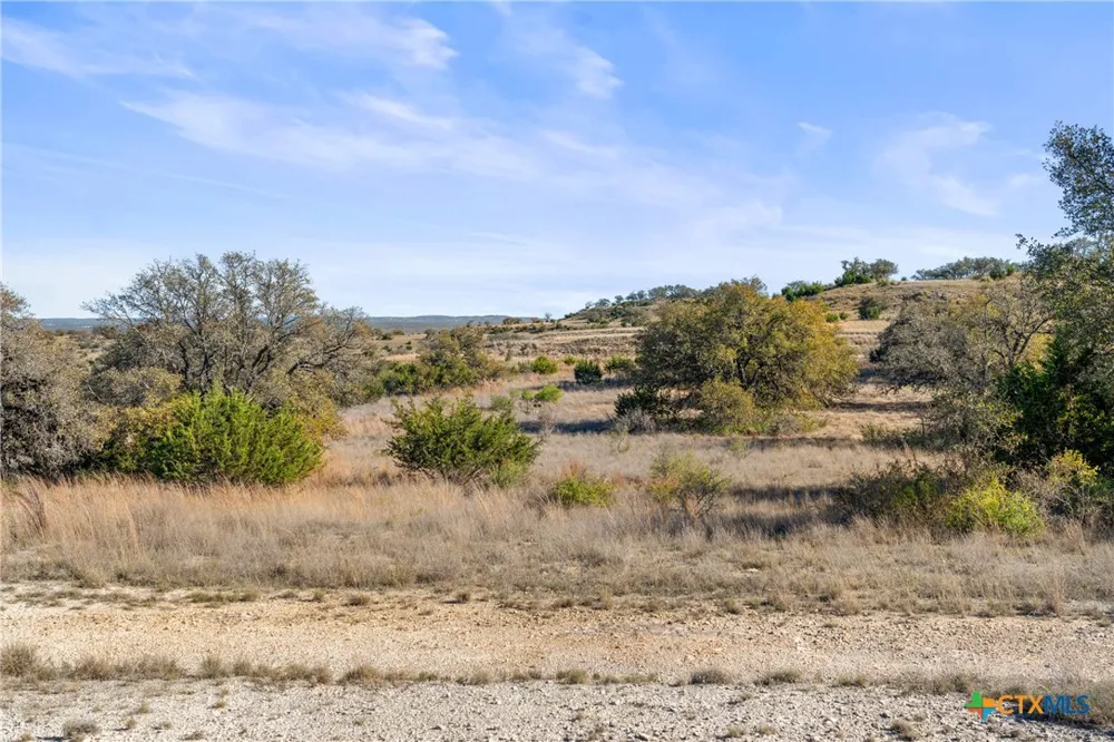 328 Cypress View Drive Johnson City, TX 78636