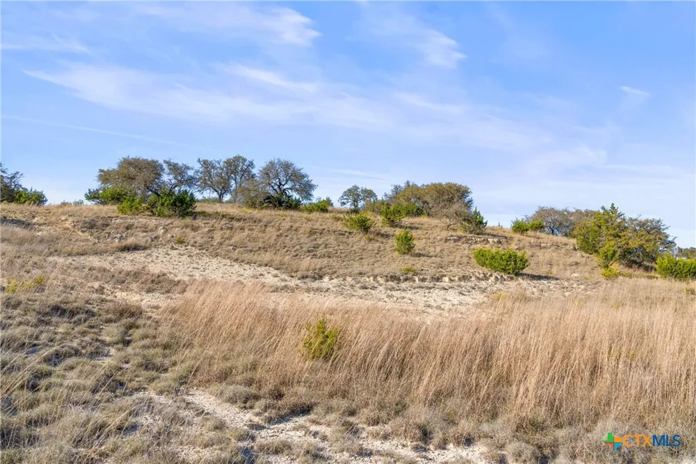 328 Cypress View Drive Johnson City, TX 78636