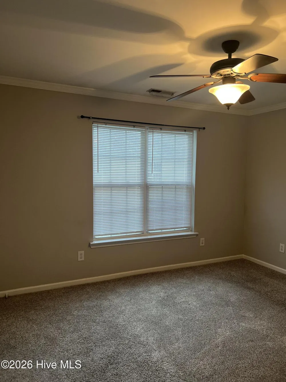 1500 Manning Forest Drive #A4 Greenville, NC 27834