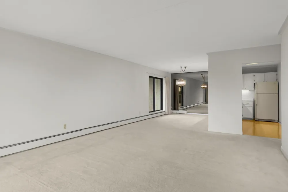 10521 Cedar Lake Road #519 Minnetonka, MN 55305