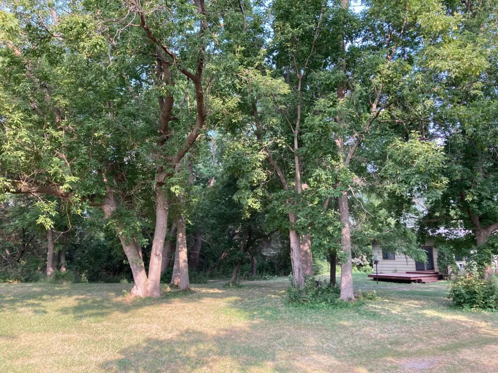 26291 82nd Avenue S Hawley, MN 56549