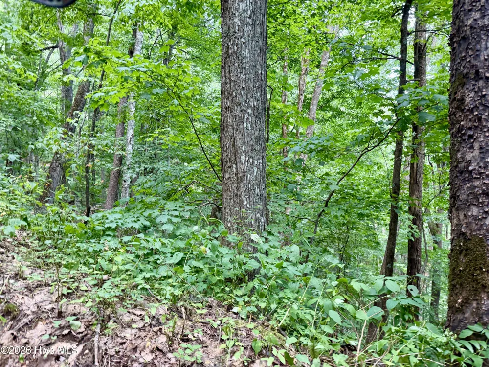 4181 Huffman Creek Road #32 Robbinsville, NC 28771