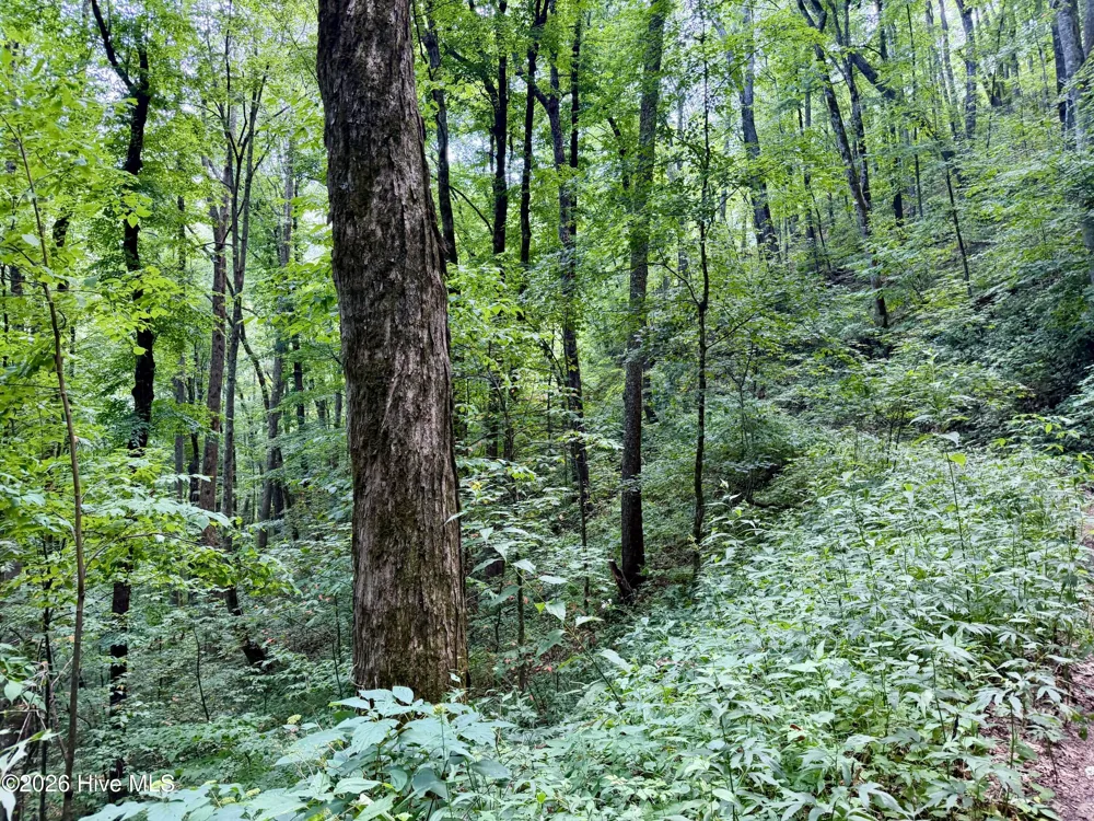4181 Huffman Creek Road #32 Robbinsville, NC 28771