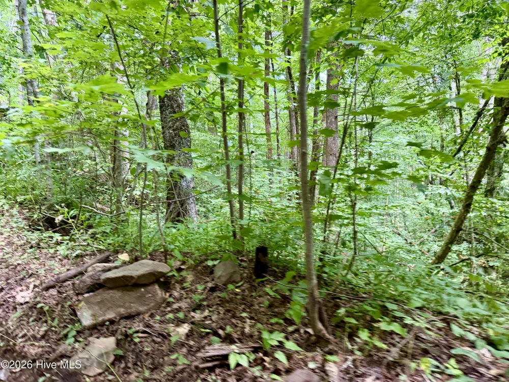 4181 Huffman Creek Road #32 Robbinsville, NC 28771