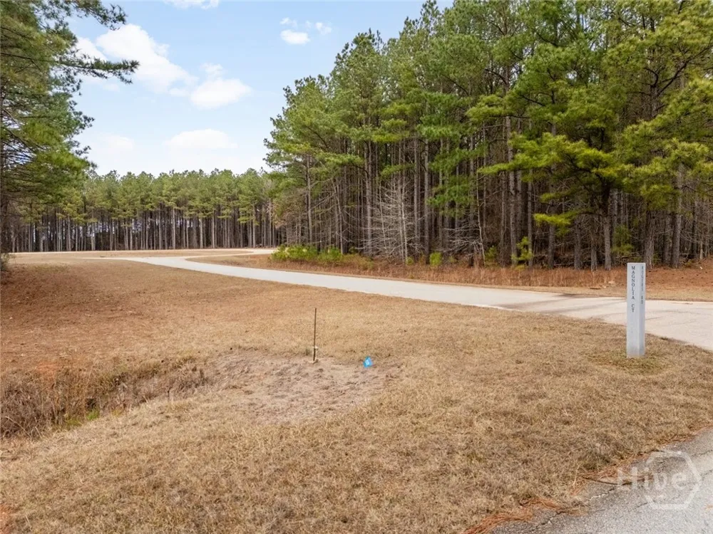 1348 Magnolia Court Tignall, GA 30668
