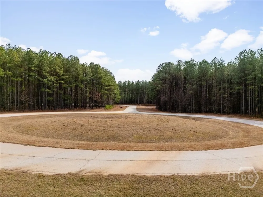 1348 Magnolia Court Tignall, GA 30668