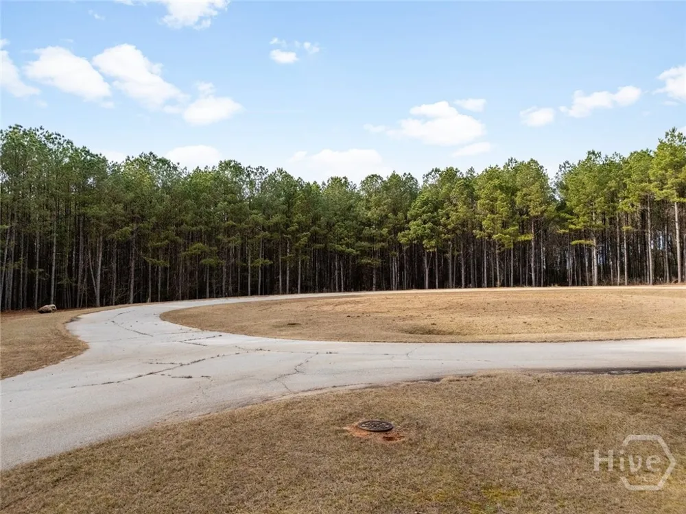 1348 Magnolia Court Tignall, GA 30668