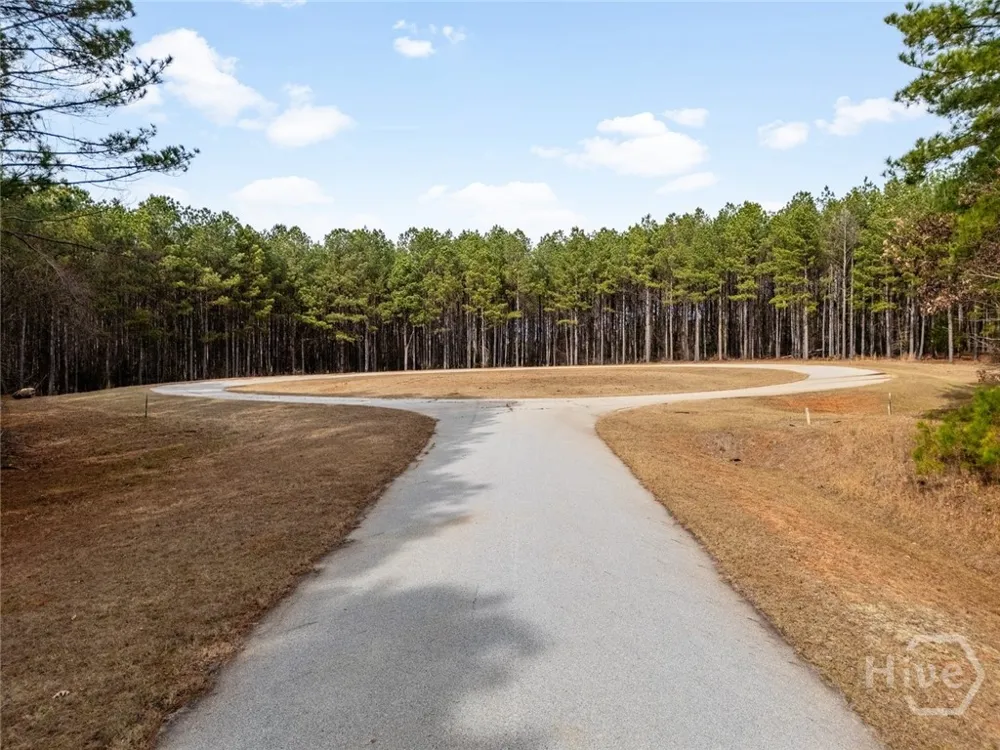 1348 Magnolia Court Tignall, GA 30668