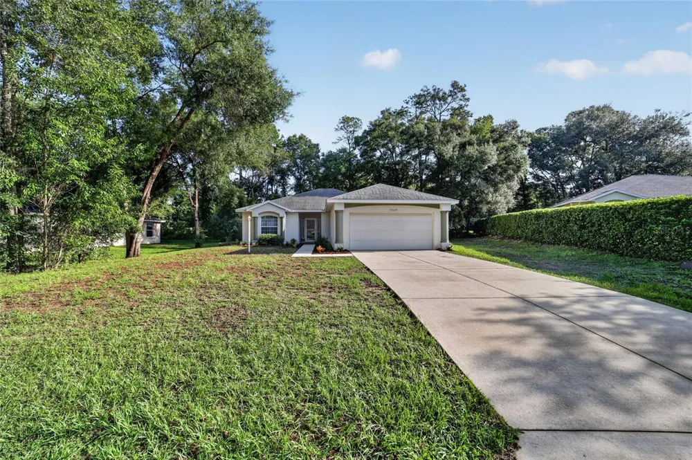 19369 SW 100TH LOOP Dunnellon, FL 34432