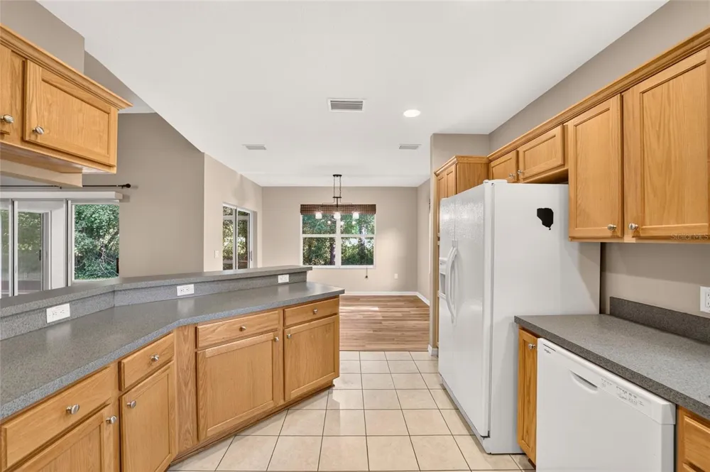 19369 SW 100TH LOOP Dunnellon, FL 34432