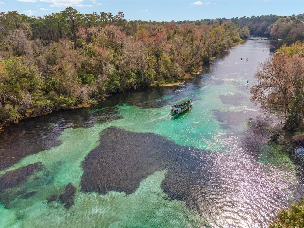 19369 SW 100TH LOOP Dunnellon, FL 34432