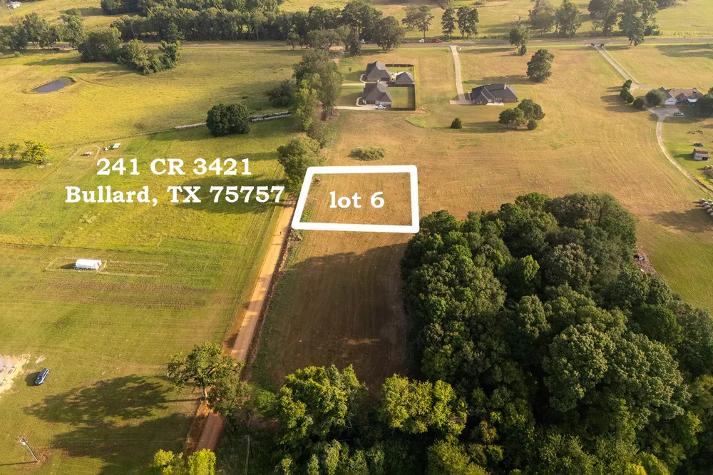 241 County Road 3421 (Lot 6) Bullard, TX 75757