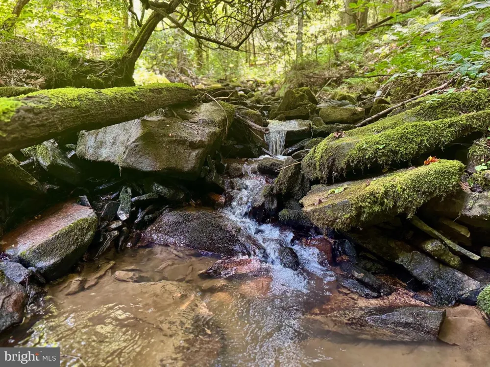CHIDESTER ROAD Terra Alta, WV 26764