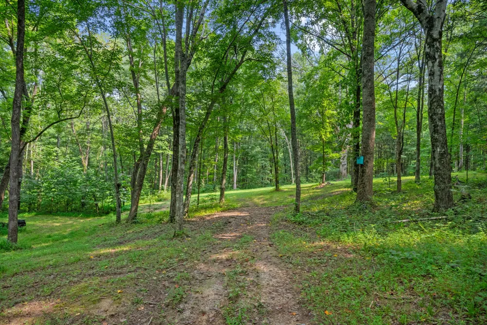 1427 Southside Rd Southside, TN 37171