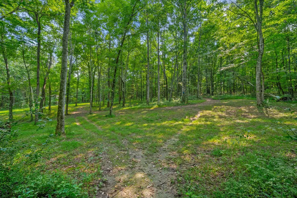 1427 Southside Rd Southside, TN 37171