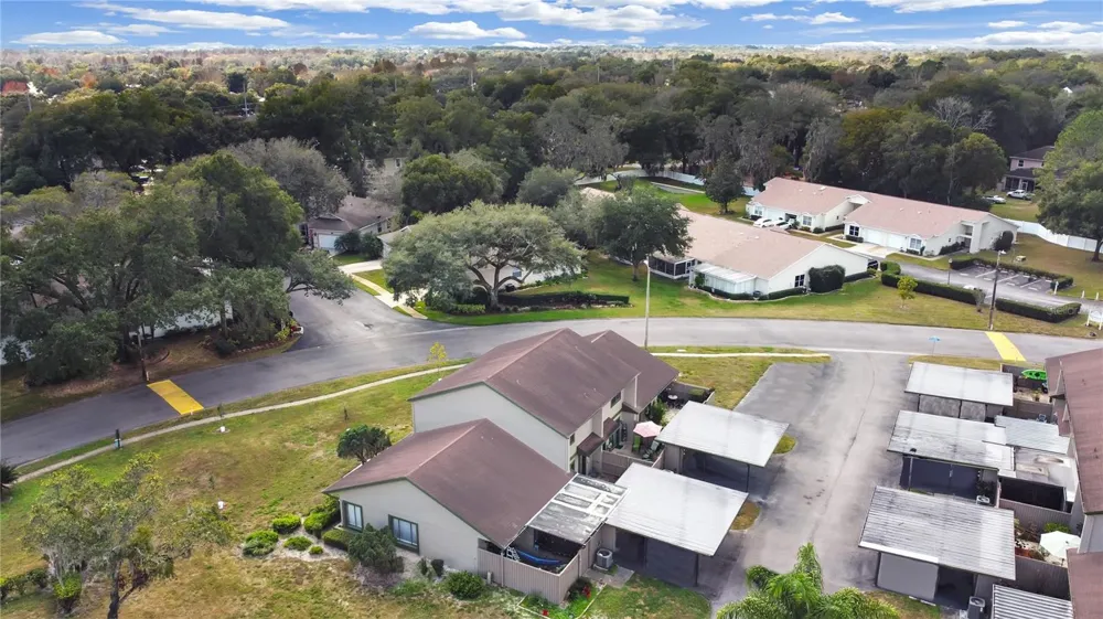 7805 AMBERLEA COURT Temple Terrace, FL 33637