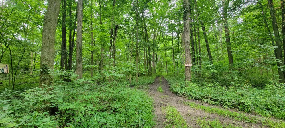 18576 T DRIVE S Tekonsha, MI 49092