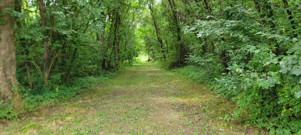 18576 T DRIVE S Tekonsha, MI 49092