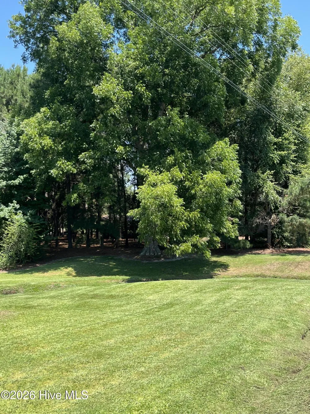 262 Mewborn Church Road Snow Hill, NC 28580