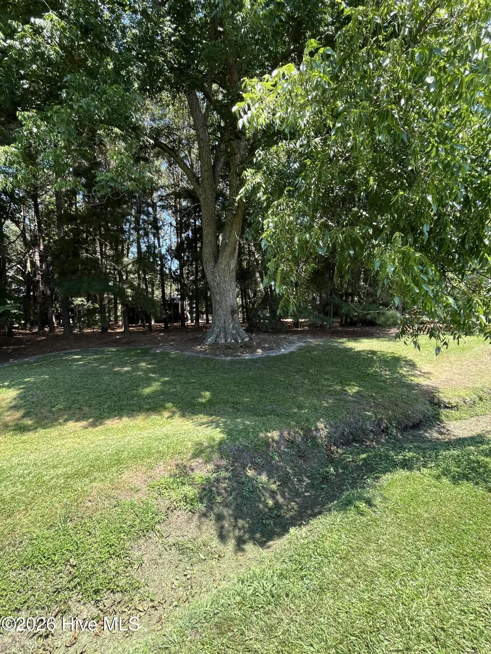 262 Mewborn Church Road Snow Hill, NC 28580