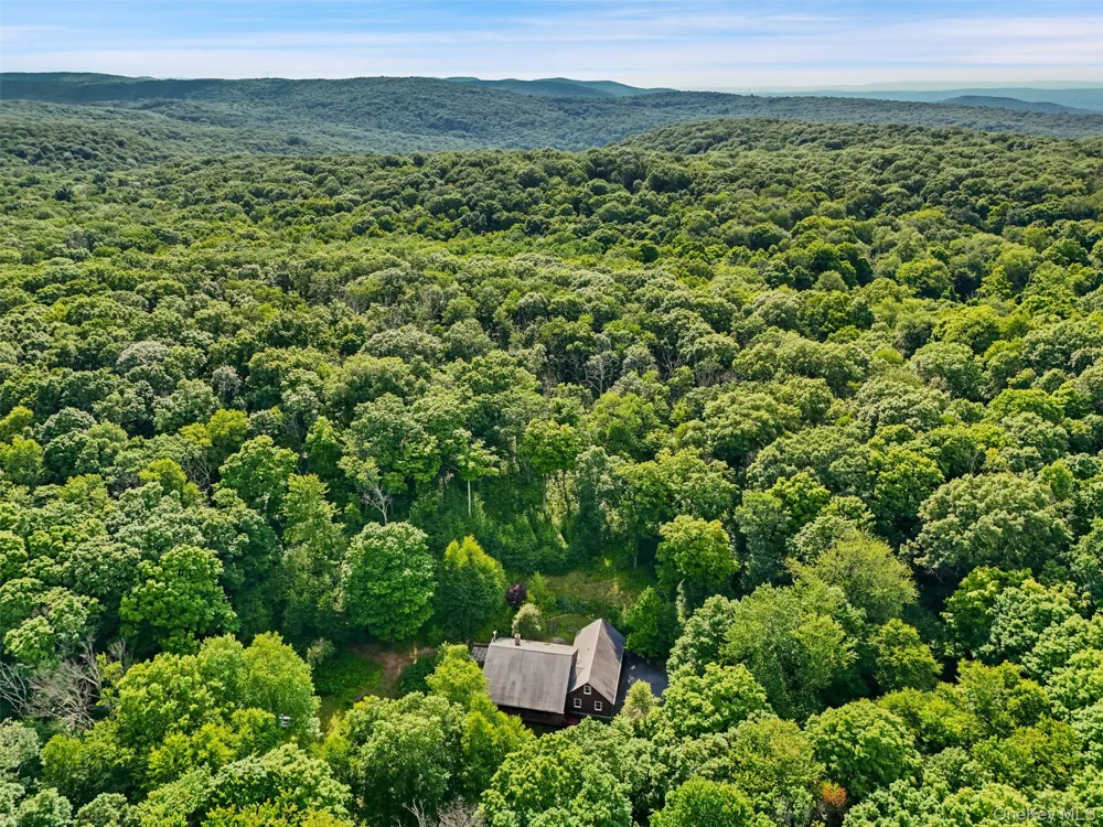 39 Miller Hill Woods Court Carmel, NY 10512