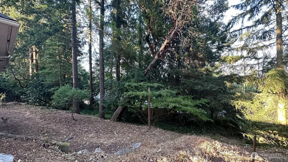 16310 Ashworth Avenue Shoreline, WA 98133