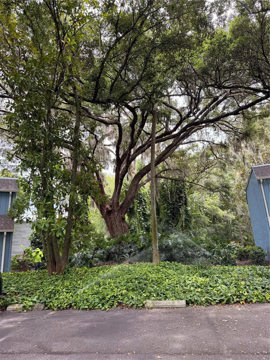 423 SHEOAH BOULEVARD #14 Winter Springs, FL 32708