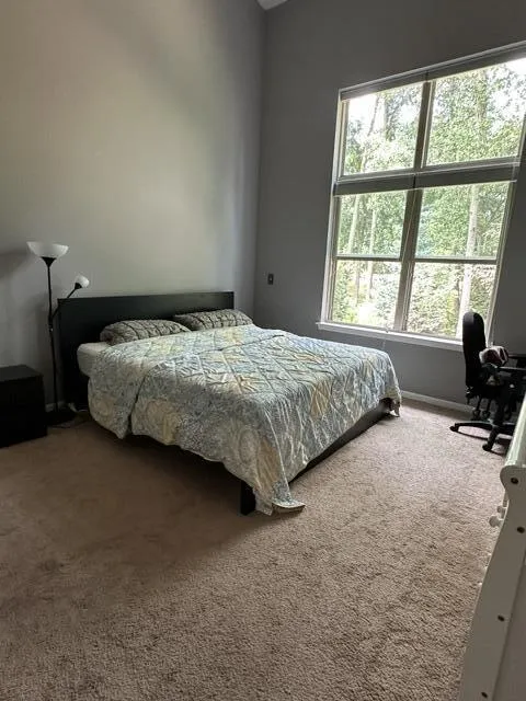 2708 Trillium Hills Drive Commerce Charter Township, MI 48382