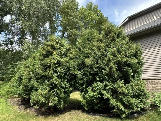 2708 Trillium Hills Drive Commerce Charter Township, MI 48382