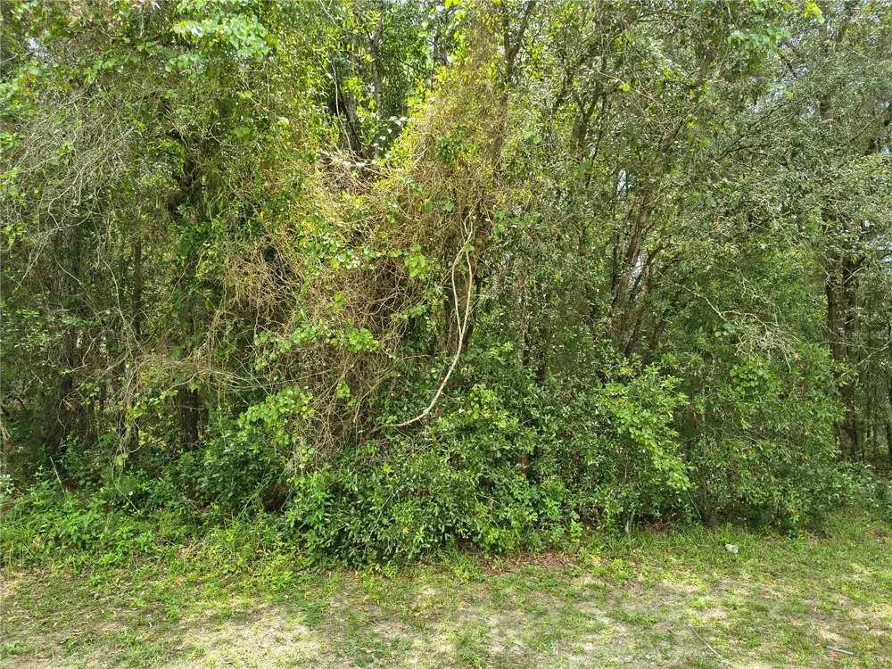 712 W COUNTRY CLUB BOULEVARD Citrus Springs, FL 34434