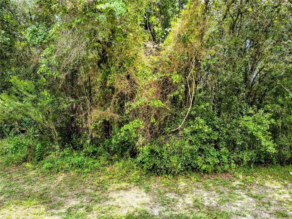 712 W COUNTRY CLUB BOULEVARD Citrus Springs, FL 34434