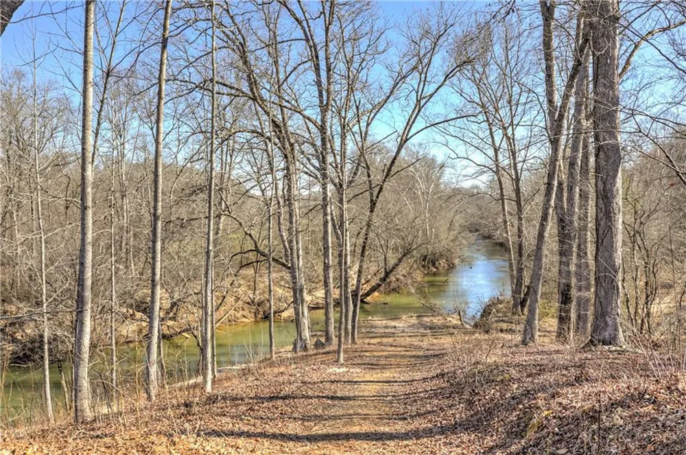 8785 Mica Creek Ball Ground, GA 30107
