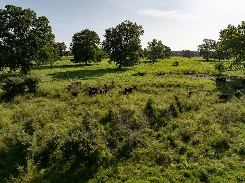 103 Hyde Lake Bennington, OK 74723