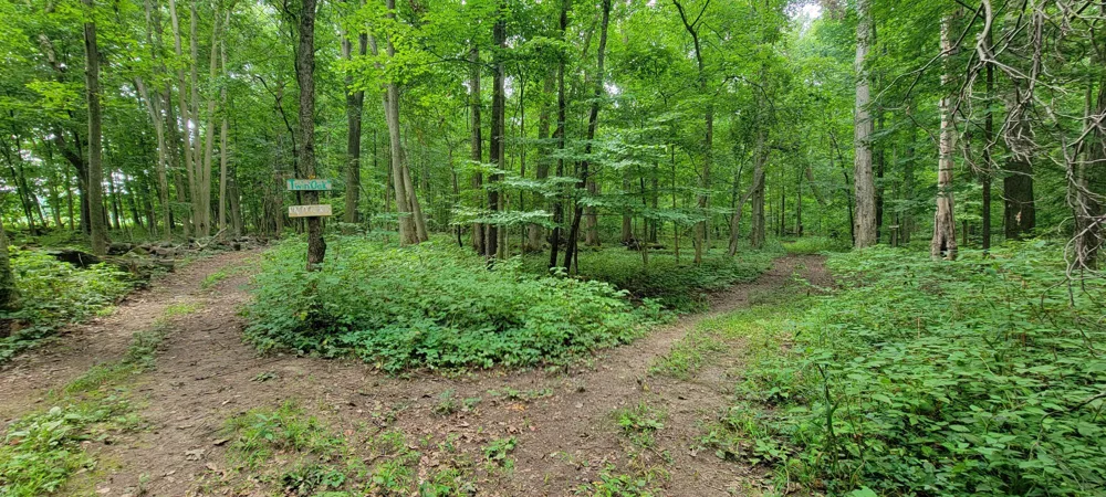18576 T DRIVE S Clarendon Township, MI 49092