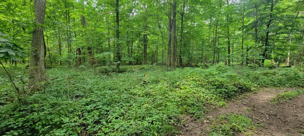 18576 T DRIVE S Clarendon Township, MI 49092