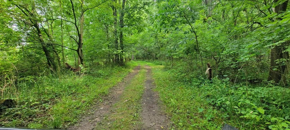 18576 T DRIVE S Clarendon Township, MI 49092
