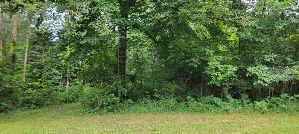 18576 T DRIVE S Clarendon Township, MI 49092