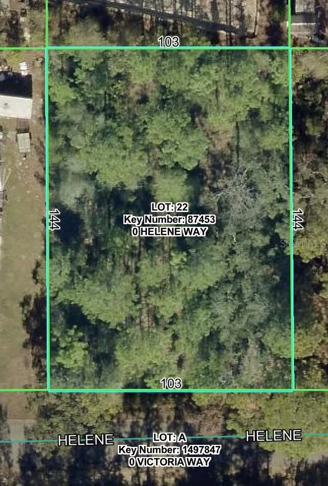 8957 HELENE WAY Weeki Wachee, FL 34613