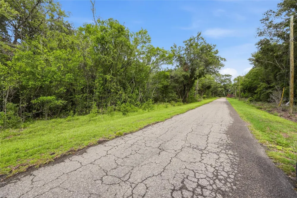 TBD BAY COURT PASS Ocklawaha, FL 32179