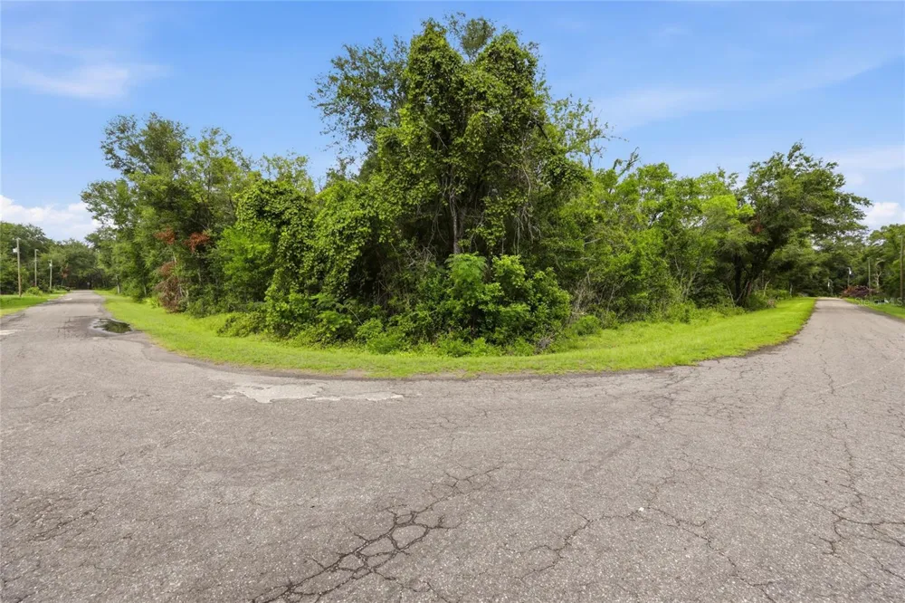 TBD BAY COURT PASS Ocklawaha, FL 32179