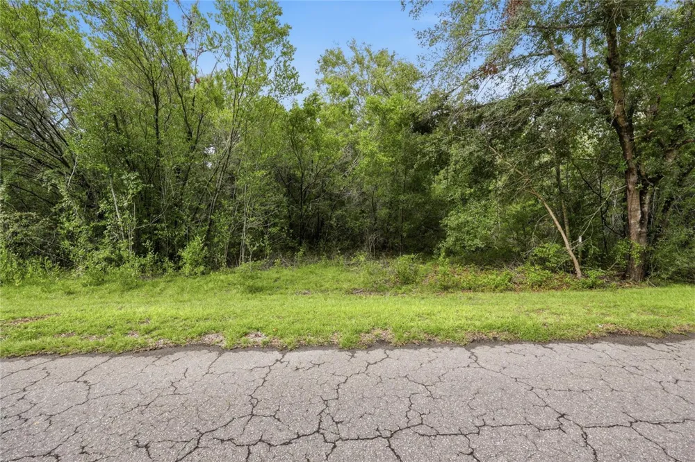 TBD BAY COURT PASS Ocklawaha, FL 32179