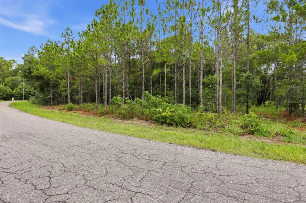TBD BAY COURT PASS Ocklawaha, FL 32179