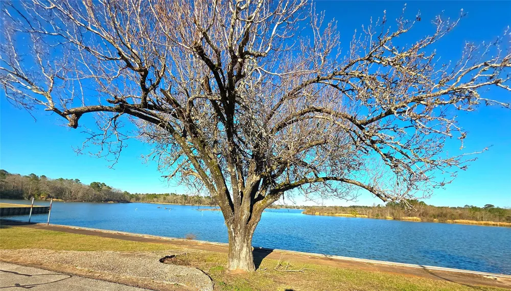 Waterwood Bay Rd, Marina Acc Rd Huntsville, TX 77320