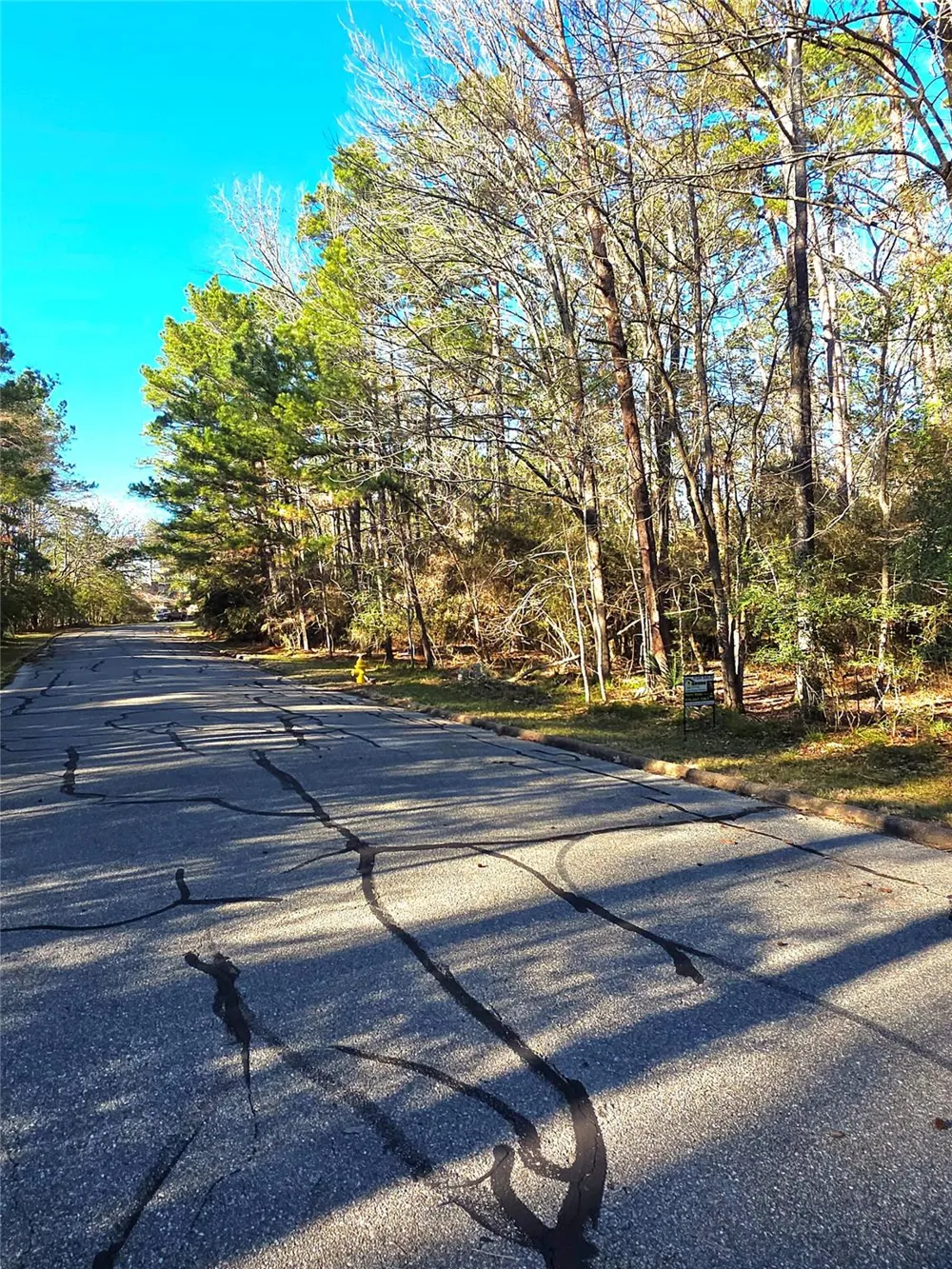 Burmuda Dune Drive Huntsville, TX 77320