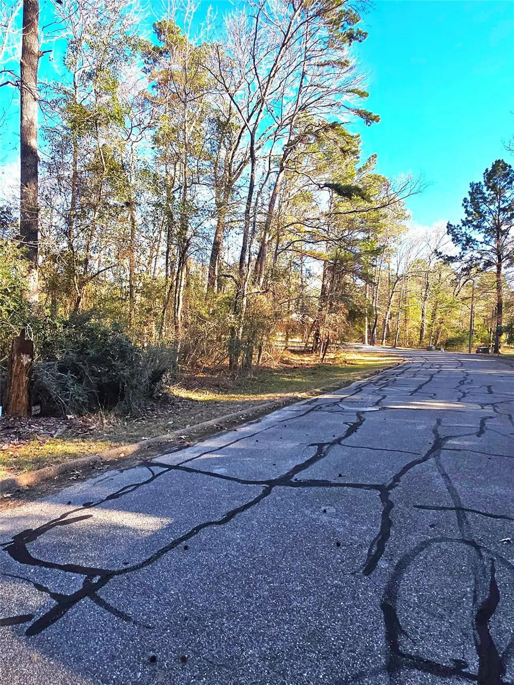 Burmuda Dune Drive Huntsville, TX 77320