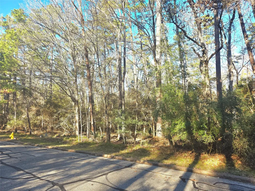 Burmuda Dune Drive Huntsville, TX 77320