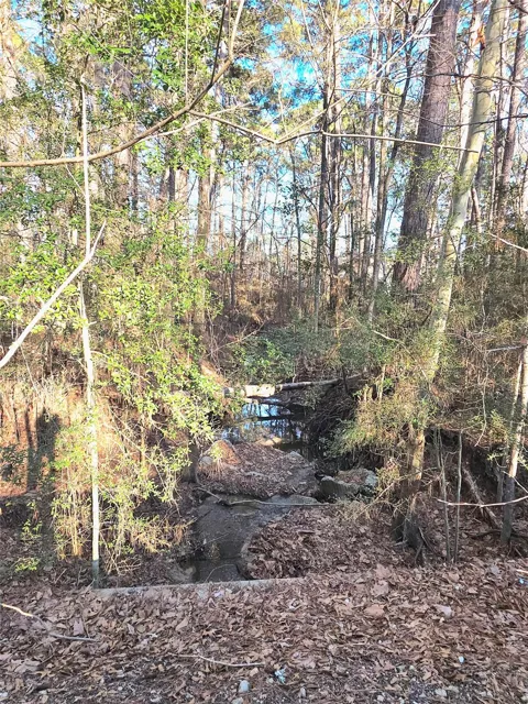 Governor Wood Drive
