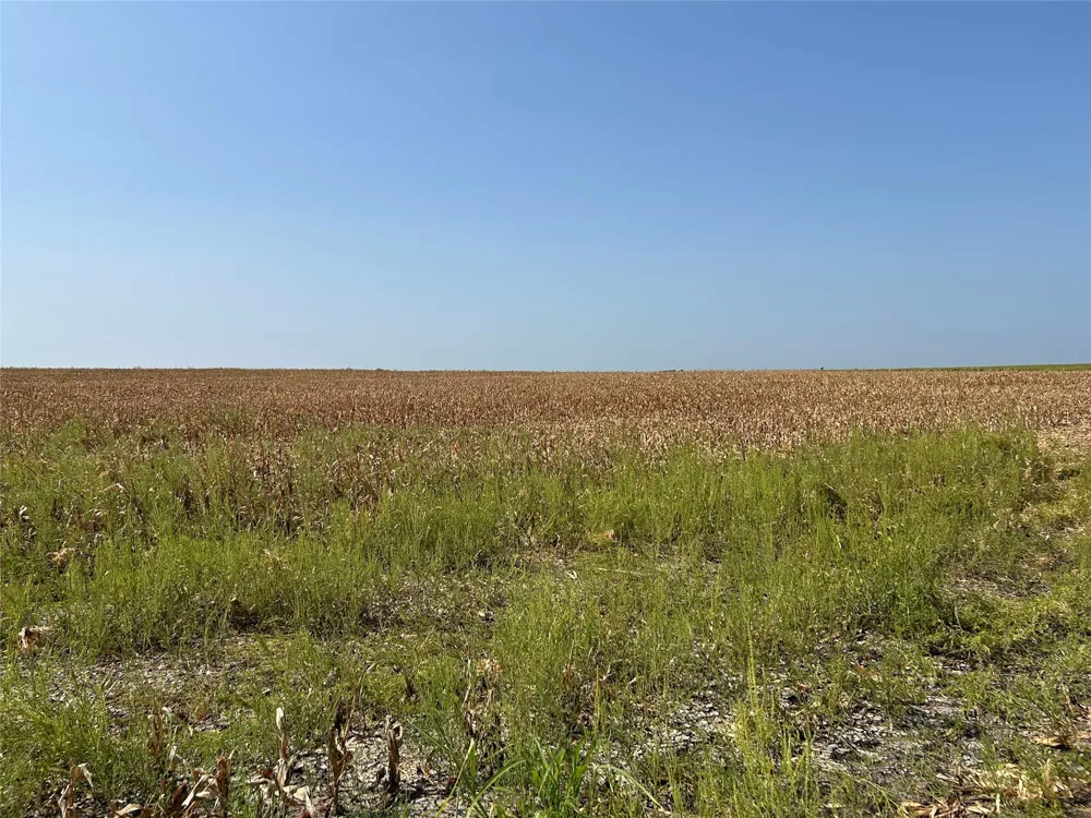 ST HWY 171 Covington, TX 76636