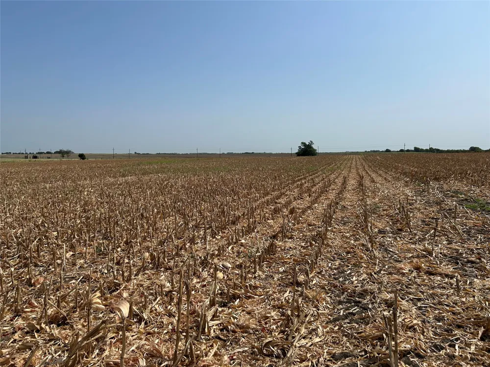ST HWY 171 Covington, TX 76636