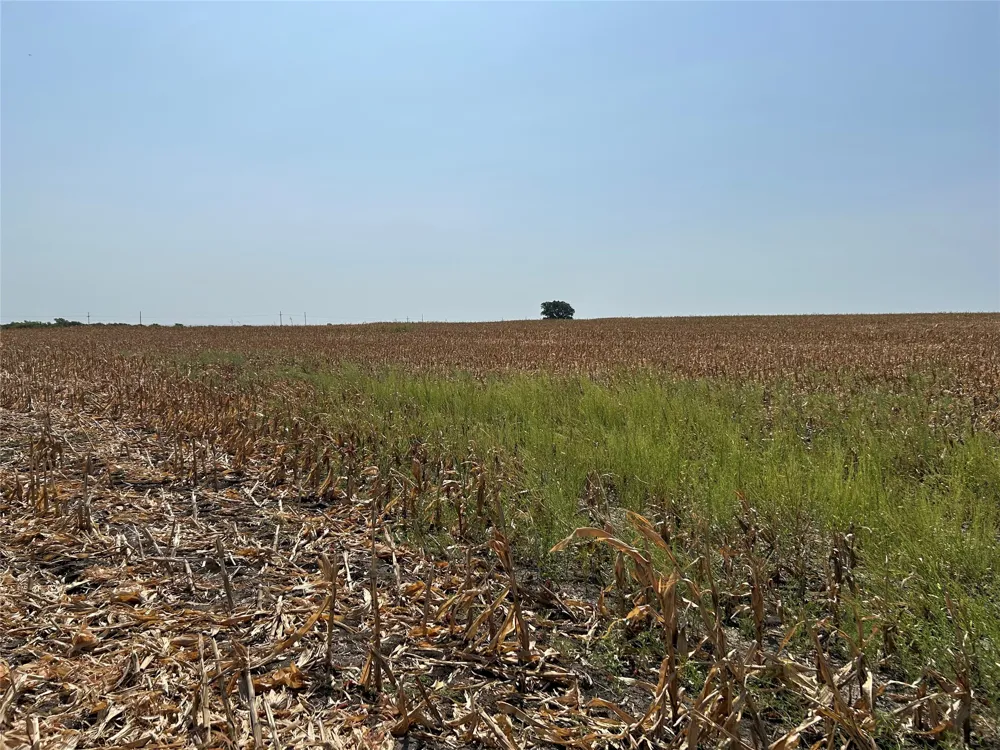 ST HWY 171 Covington, TX 76636